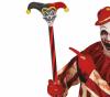 Arlequin Cane