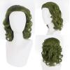 Smiling Clown Wig