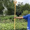 Wizard Staff Accessory