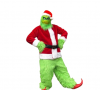 Adults Green Christmas Costume