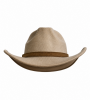 Wasteland Cowboy Hat