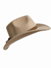 Wasteland Cowboy Hat