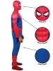 Brand New Day Spider-Man
