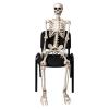 5ft Poseable Skeleton