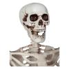 5ft Poseable Skeleton