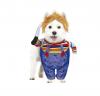 Scary Doll Pet Costume
