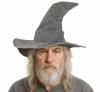 Grey Wizard Hat