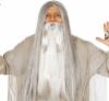 Long Hair Grey Wig
