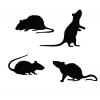 Rats Wall Silhouettes
