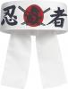 Karate Headband