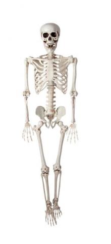 Posable Skeleton Decoration - 90cm