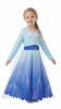 Frozen Princess Costume