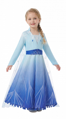 Frozen Princess Costume