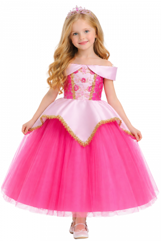 Deluxe Sleeping Beauty Costume