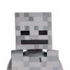 Minecraft Skeleton - Tween