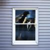 Ghost Face 36" Window Creeper