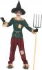 Scarecrow Costume - Teen