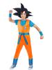 Dragonball Z Goku Costume - Kids