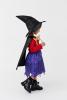 Room on The Broom Costume - Girls