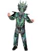Tween Dragon Costume