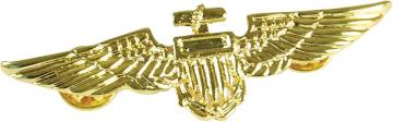 Aviator Pin