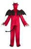 Adult Devil Costume