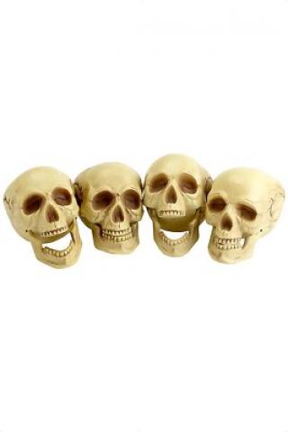 Skull Heads - 4 Pack