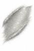 Glitter Makeup Stick - Silver
