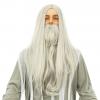Mage Wig And Beard - Grey
