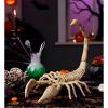 Scorpion Skeleton