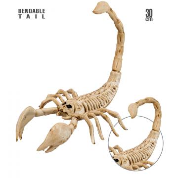 Scorpion Skeleton