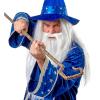 Wizard Wig With Maxi Beard