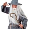 Wizard Wig With Maxi Beard