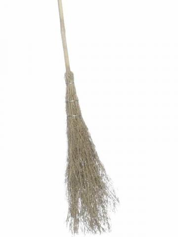 Witch's Broom
