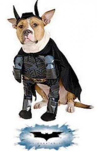 pet batman costume