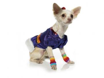 Rainbow Cutie Puppy Costume