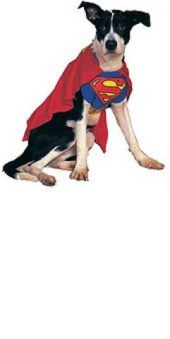 Dog Superman Costume