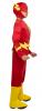 Side View Flash costume
