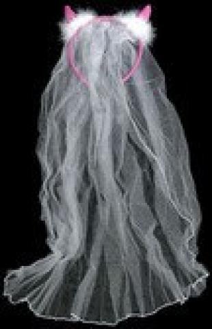 Hen Party Veil