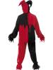 Jester costume