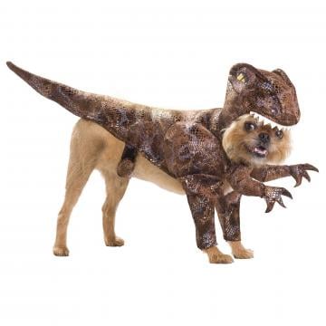 pet raptor costume