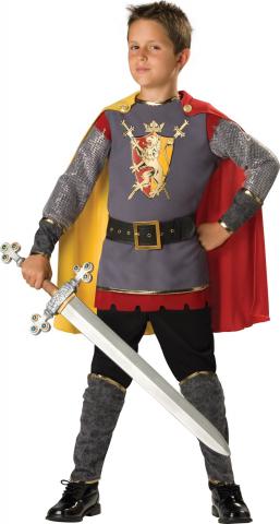 Loyal Knight Costume