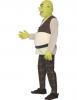 Shrek costume - Side