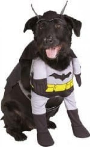dogs batman costume