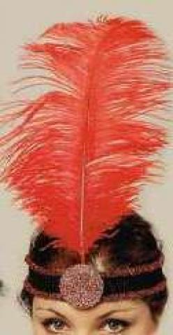 1920's feather headdress