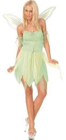 Plus Size Neverland Fairy costume