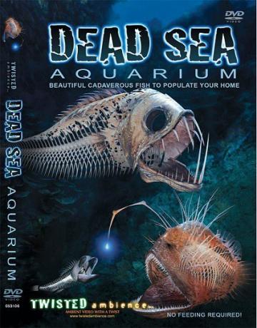 Dead Sea Aquarium DVD