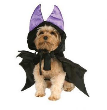 Dog Gone Batty Animal Costume