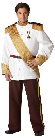 prince costume