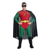 Robin costume